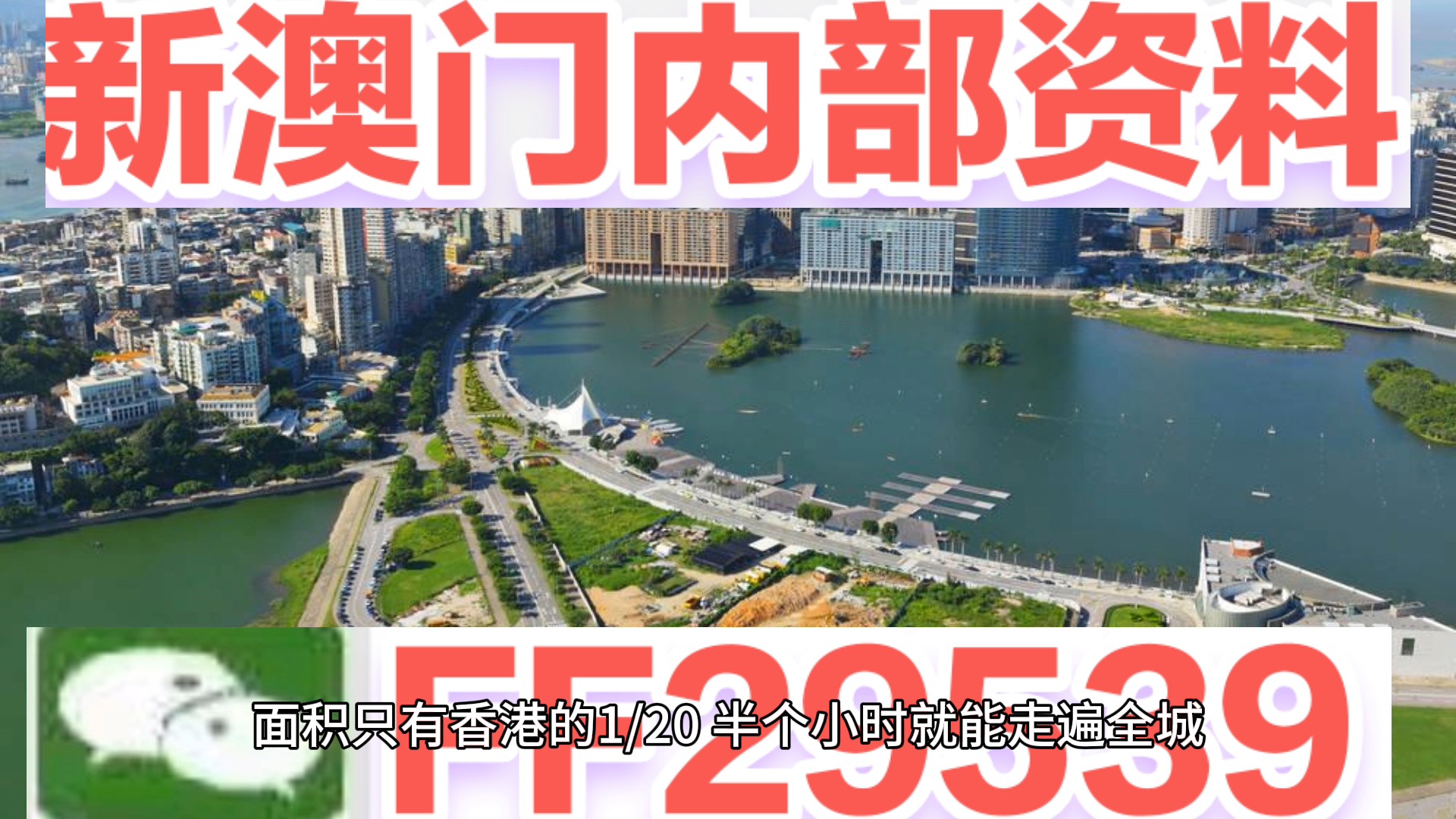 新澳門今晚開獎結果?開獎，澳門今晚開獎結果揭曉，幸運號碼出爐！