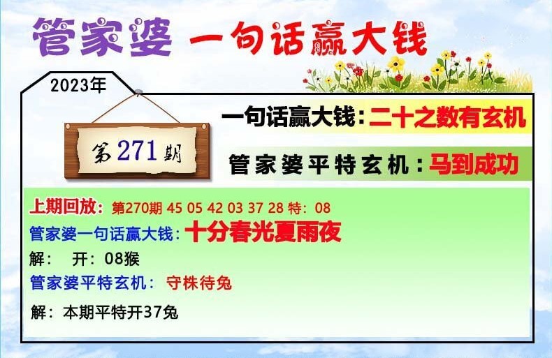 揭秘202管家婆一肖一碼，解碼神秘?cái)?shù)字的魅力，揭秘神秘?cái)?shù)字魅力，解碼管家婆一肖一碼的秘密