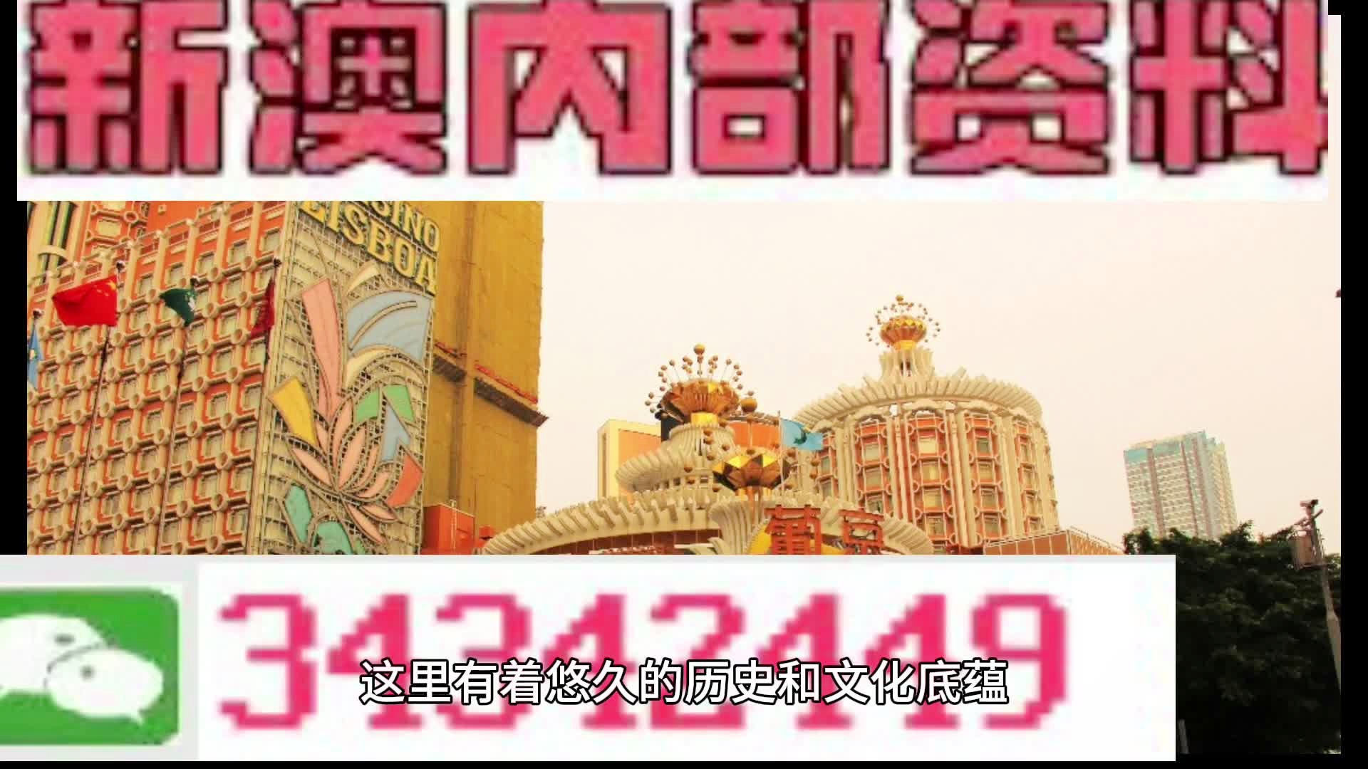 澳門最精準免費資料大全特色，澳門最全免費資料大全特色解析