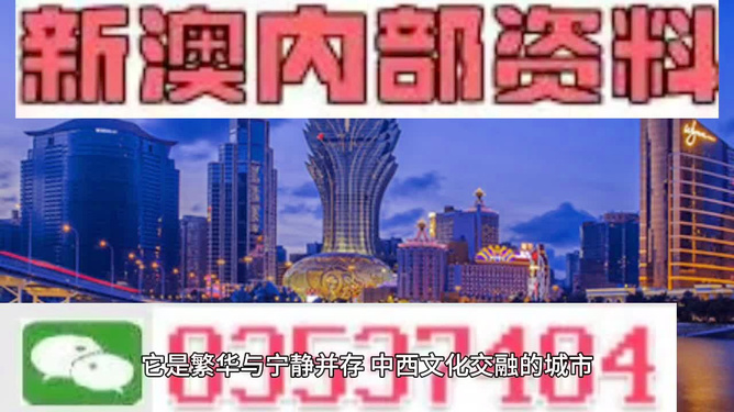新澳門(mén)免費(fèi)資大全查詢(xún)，澳門(mén)免費(fèi)資訊大全查詢(xún)指南