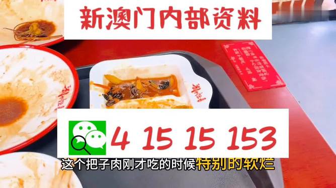 澳門王中王六碼新澳門，揭秘彩票背后的故事，澳門王中王六碼揭秘，彩票背后的故事探索