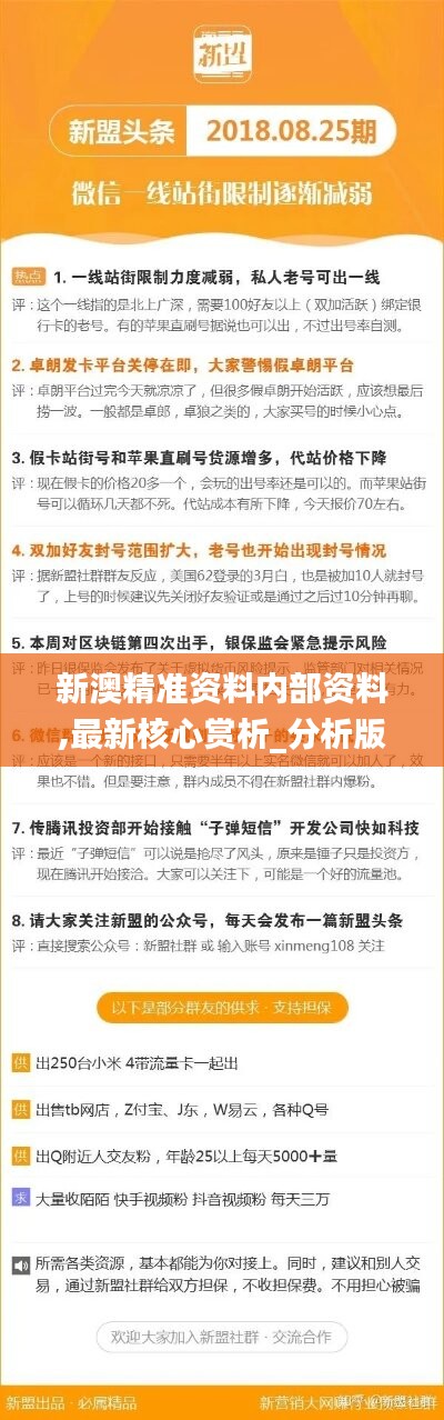 新澳精準(zhǔn)資料免費(fèi)提供，探索第221期的奧秘與價(jià)值，新澳精準(zhǔn)資料揭秘第221期奧秘與價(jià)值