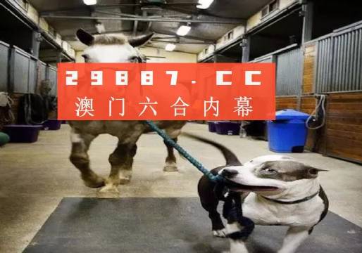 澳門(mén)一肖一碼一必中，同舟共濟(jì)向前行，澳門(mén)一肖一碼必中，同舟共濟(jì)向前行