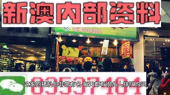 2025新澳精準(zhǔn)資料大全，2025新澳精準(zhǔn)資料大全手冊