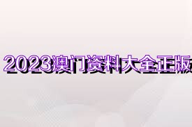 2025年是澳門(mén)正版資料大全，澳門(mén)正版資料大全 2025年概覽
