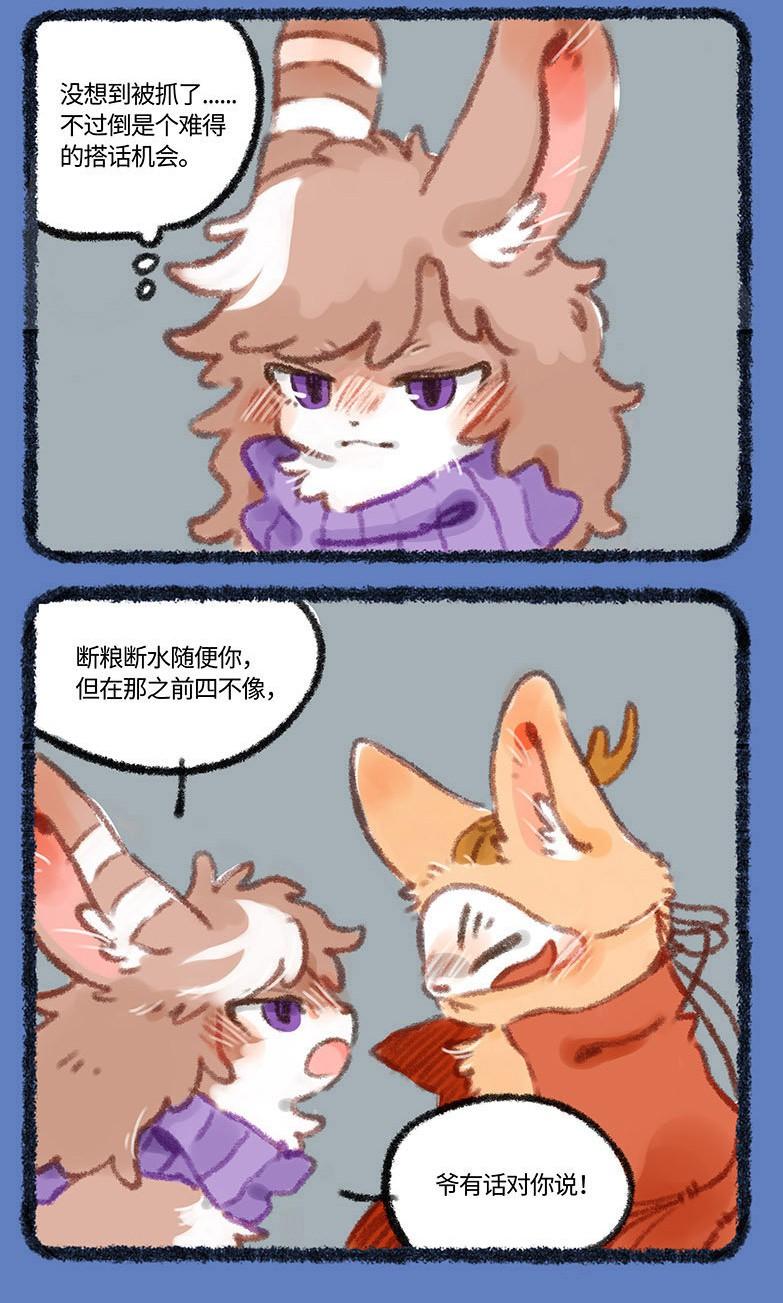 四不像的神秘面紗，今晚必中一肖揭秘，四不像神秘面紗揭曉，今晚生肖揭秘一探究竟