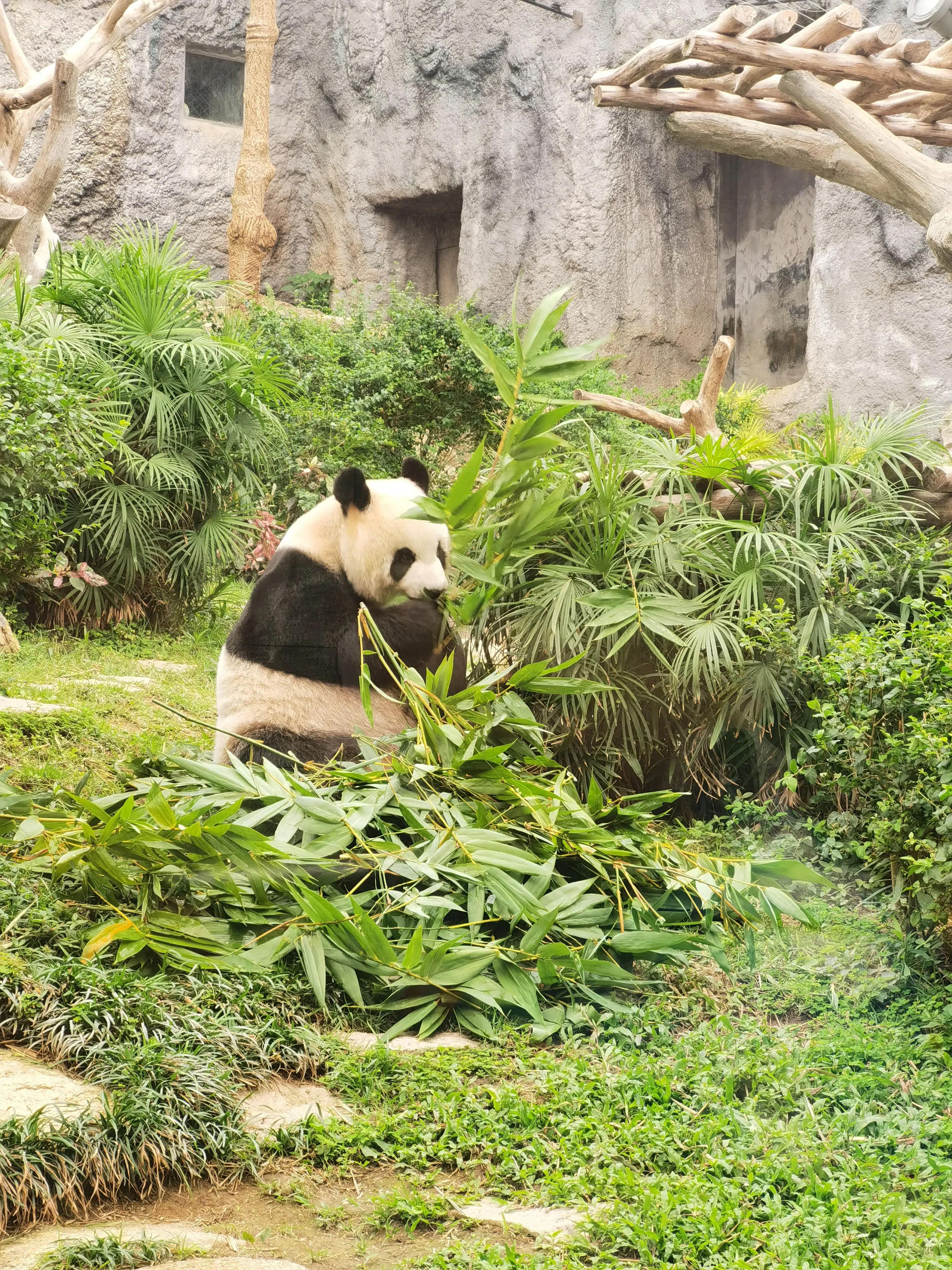 澳門最準(zhǔn)最快的免費(fèi)的，澳門最準(zhǔn)最快的免費(fèi)預(yù)測/資料