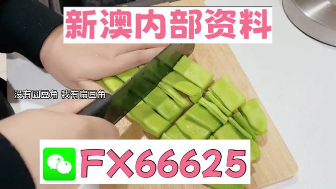 新澳精準(zhǔn)資料大揭秘，免費(fèi)提供的背后故事，新澳精準(zhǔn)資料揭秘，免費(fèi)背后的故事