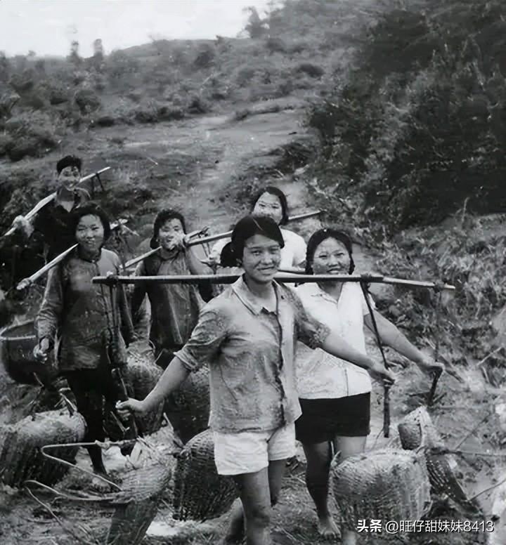 免費(fèi)下載49圖庫，海量美圖資源一網(wǎng)打盡，海量美圖資源免費(fèi)下載，49圖庫一網(wǎng)打盡