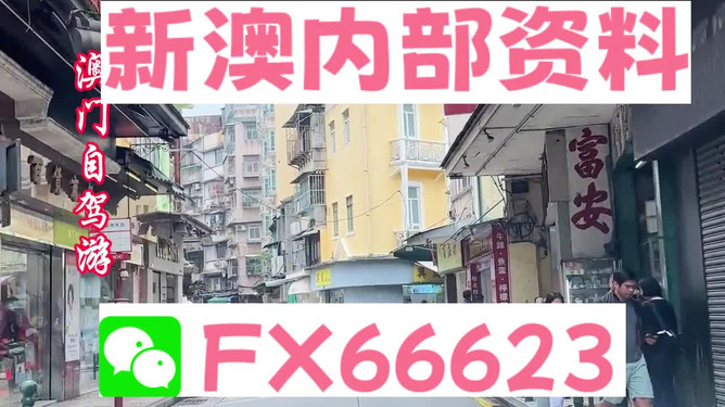 新澳精準(zhǔn)資料大放送，免費(fèi)提供的價(jià)值寶藏，新澳精準(zhǔn)資料大放送，免費(fèi)價(jià)值寶藏揭秘