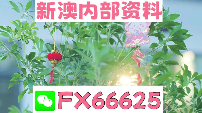 新澳精準(zhǔn)資料免費(fèi)提供網(wǎng)站，新澳精準(zhǔn)資料免費(fèi)分享平臺(tái)