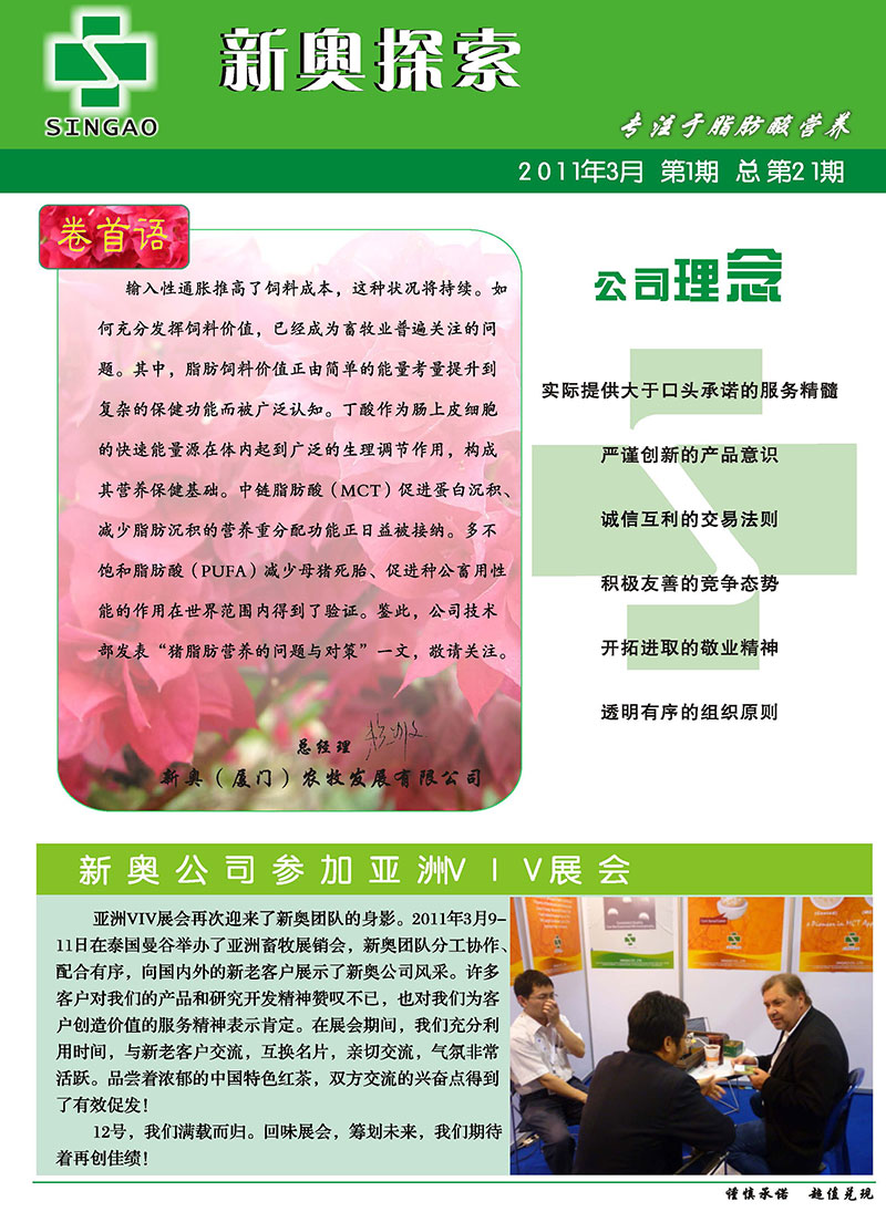 新澳2025資料深度解析，新澳2025資料深度解讀報告