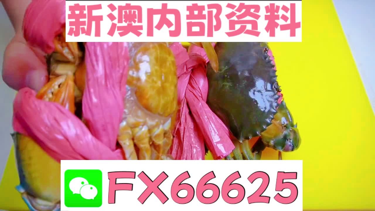 揭秘2025新澳精準資料大全，深度解析與應(yīng)用，揭秘2025新澳精準資料大全，深度解析與實戰(zhàn)應(yīng)用指南