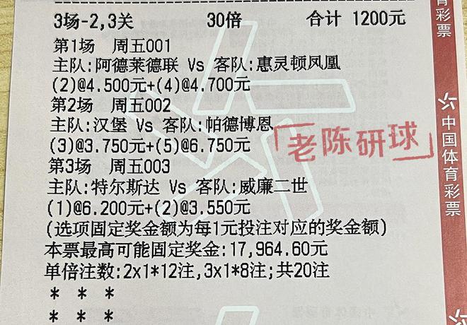 揭秘澳門特馬開獎(jiǎng)記錄，2025年回顧與展望，澳門特馬開獎(jiǎng)記錄回顧與未來展望，揭秘?cái)?shù)據(jù)背后的秘密（2025年）