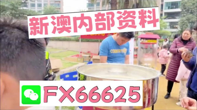 澳門正版免費(fèi)全年資料大全旅游團(tuán)，探索澳門之旅的完美指南，澳門旅游團(tuán)指南，正版免費(fèi)全年資料大全，探索澳門之旅的完美選擇