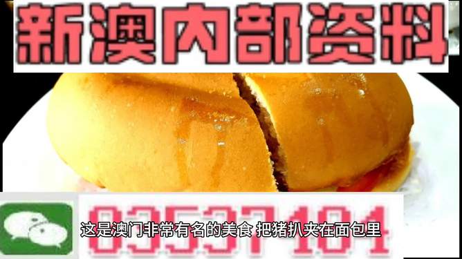 澳門最精準免費資料大全特色解析，澳門最精準免費資料大全特色詳解
