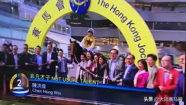 今晚上香港開特馬開什么，香港今晚特馬開獎結(jié)果揭曉