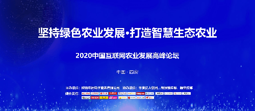 841995論壇網(wǎng)站的發(fā)展與展望，邁向2025的未來，841995論壇，邁向2025的未來發(fā)展與展望