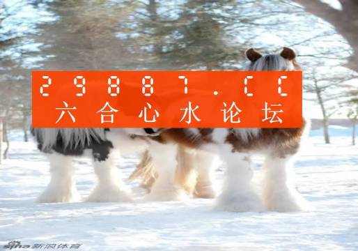 今晚必中一肖一碼四不像，揭秘彩票的神秘面紗，揭秘彩票神秘面紗，今晚必中一肖一碼四不像