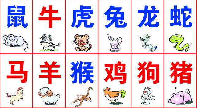 澳門精準(zhǔn)資料大全免費(fèi)資料 什么生肖沒列入仙班，澳門精準(zhǔn)資料大全揭秘，未列入仙班的生肖揭秘