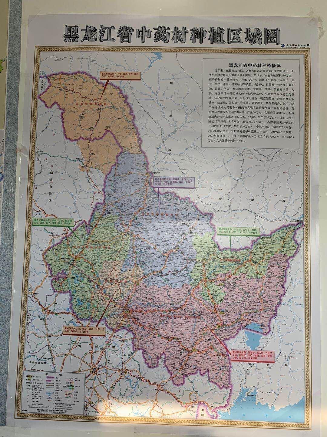 2025年香港正版資料免費大全，一網(wǎng)打盡最新資源，香港正版資料免費大全一網(wǎng)打盡最新資源（2025年）