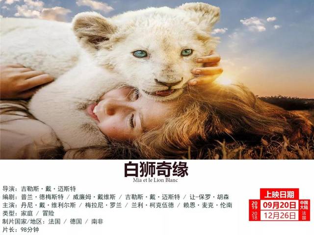 揭秘白小姐資料大全，正版奇緣四肖與二月神秘數(shù)字的秘密，揭秘白小姐奇緣四肖與二月神秘數(shù)字的秘密大全