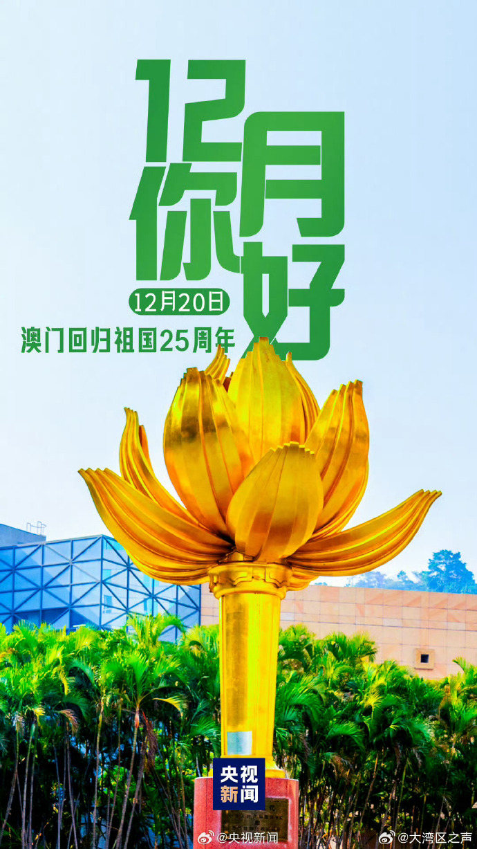 新澳門2025天天開好，未來繁榮的十大展望，澳門未來展望，繁榮發(fā)展的十大趨勢至2025年天天向好發(fā)展