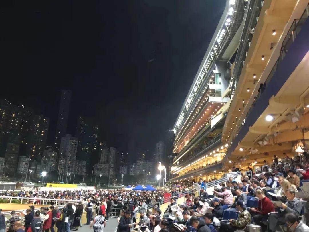 揭秘香港正版馬會傳真背后的故事，揭秘香港正版馬會傳真背后的秘密內幕