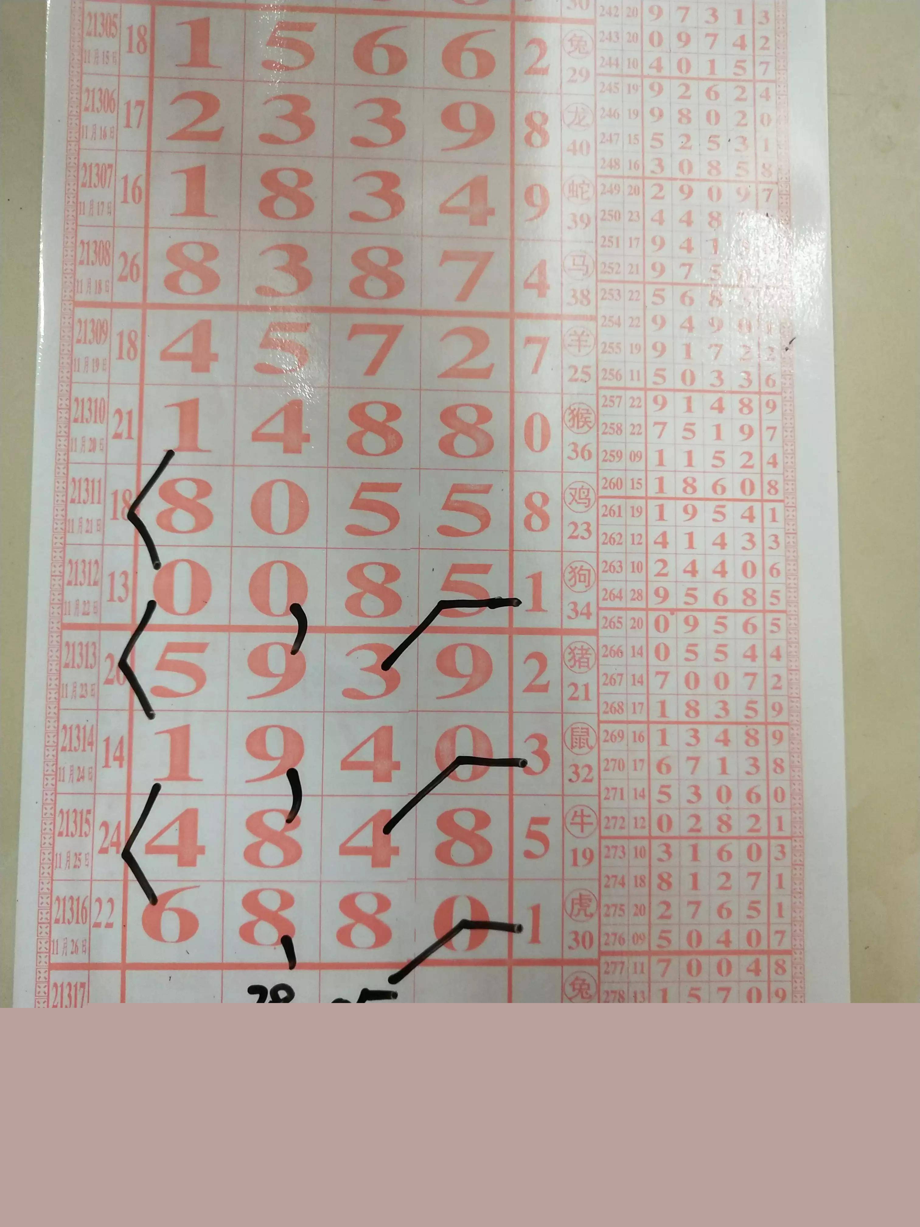 揭秘最準(zhǔn)一碼一肖100%精準(zhǔn)的真實(shí)含義與心得分享，揭秘最準(zhǔn)一碼一肖，百分百精準(zhǔn)預(yù)測(cè)的真實(shí)含義與經(jīng)驗(yàn)分享