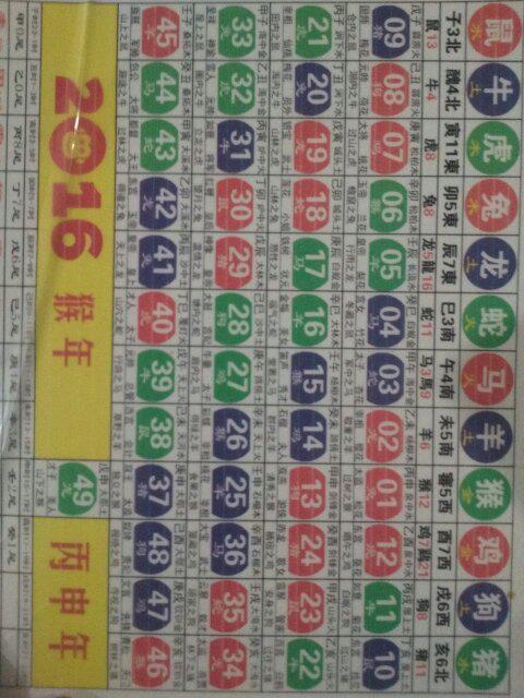 揭秘2024十二生肖49碼表圖，揭秘十二生肖49碼表圖，2024年全新解讀