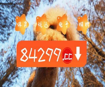 新澳門天天彩免費(fèi)提供，澳門天天彩最新免費(fèi)資訊分享