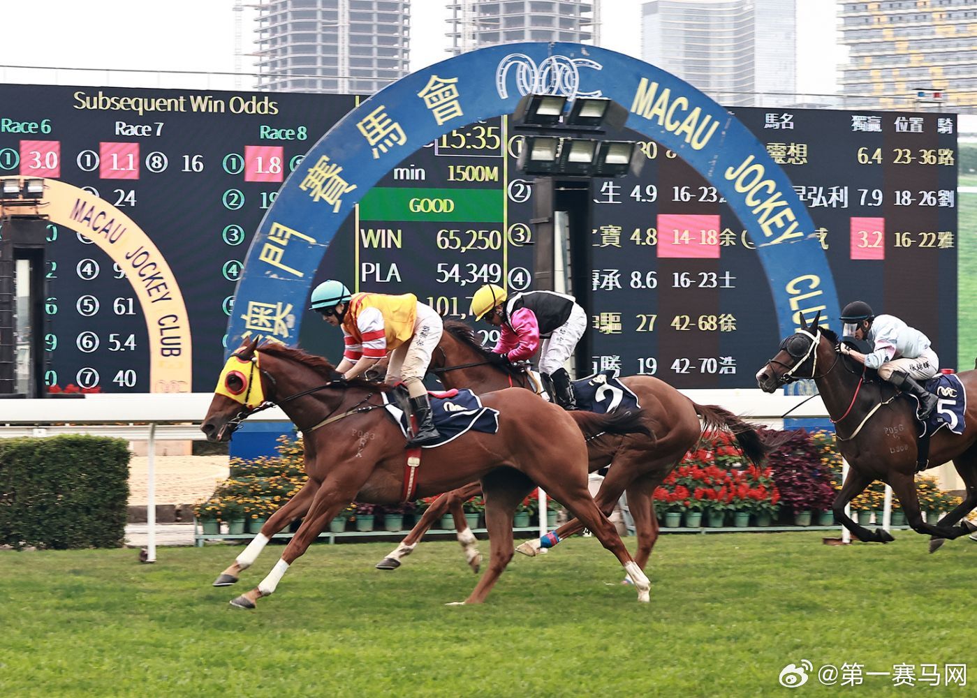 新澳門馬料免費大全——探索澳門馬料最新資訊，澳門馬料最新資訊大全，免費探索澳門馬料精彩世界