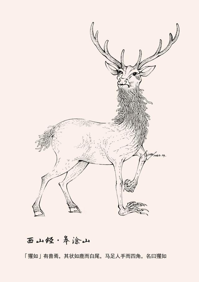 四不像的神秘面紗，今晚必中一肖揭秘，四不像神秘面紗揭曉，今晚生肖揭秘一探究竟