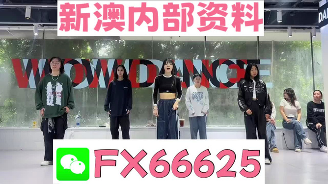 探索管家婆一票一碼資料，數(shù)字化時(shí)代的智能管理新篇章，數(shù)字化時(shí)代下的智能管理新篇章，探索管家婆一票一碼資料解析