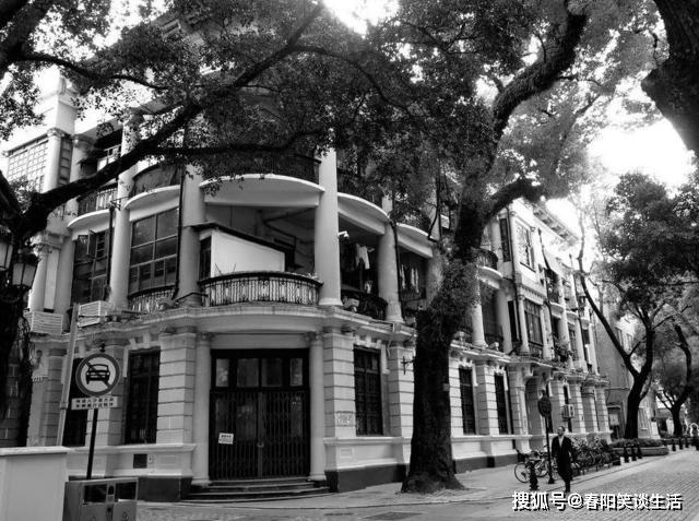 澳門達家婆一肖一馬一中一特，探尋神秘文化魅力，澳門達家婆文化探尋，神秘生肖與特馬魅力