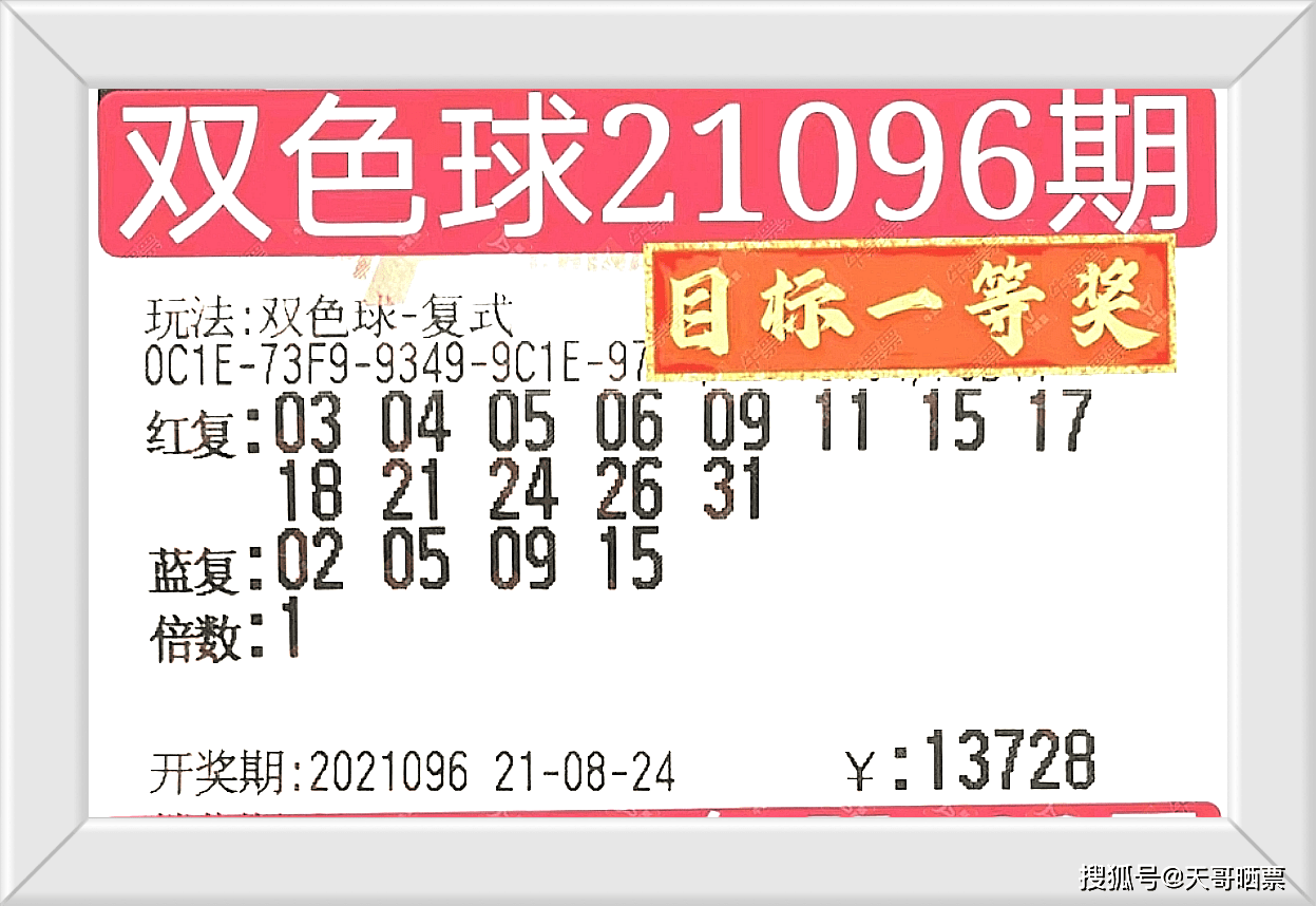 2025澳門特馬今晚開什么碼，澳門今晚特馬開碼結果預測分析
