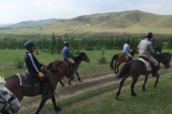 澳門今晚開特馬 開獎結(jié)果走勢圖，澳門特馬開獎結(jié)果及走勢圖分析