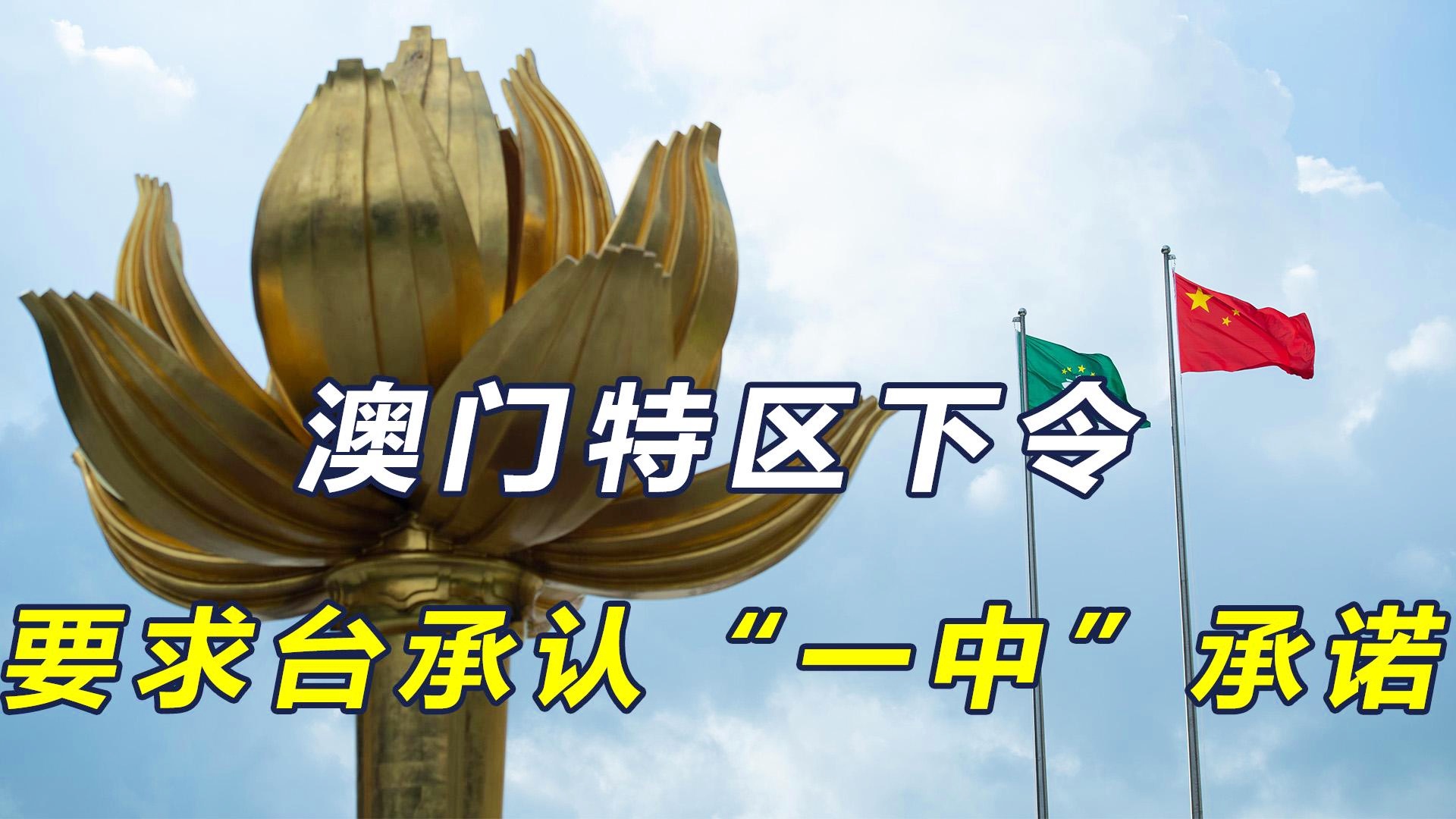 澳門一碼一肖一特一中直播結(jié)果，澳門直播結(jié)果揭曉，一碼一肖一特一中特輯
