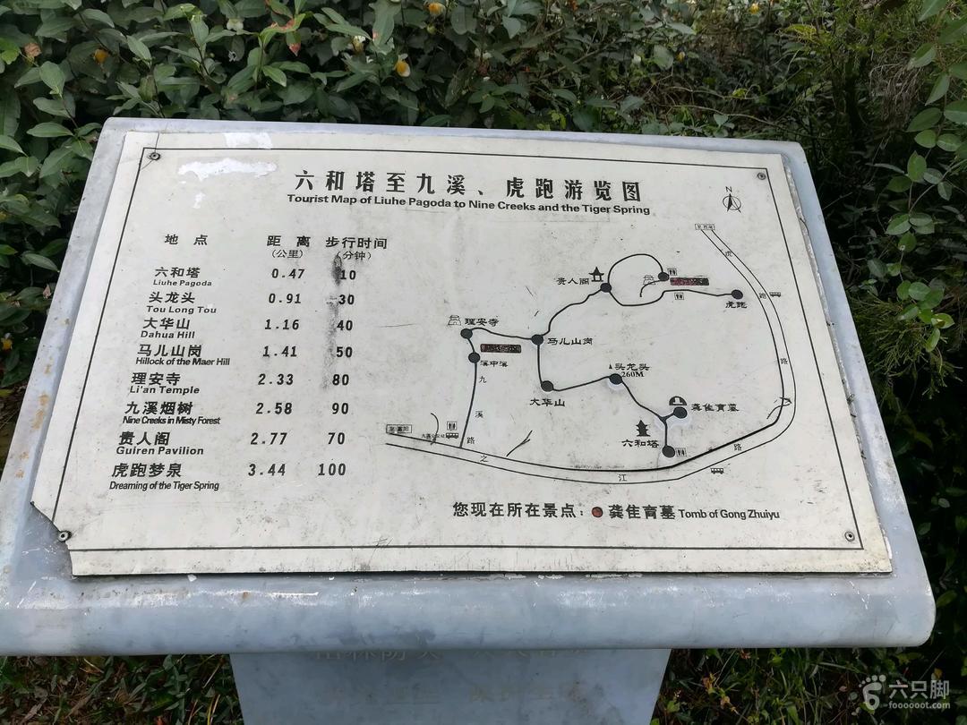 揭秘六和彩開碼資料2025，一網(wǎng)打盡彩票秘籍，揭秘六和彩開碼資料2025，一網(wǎng)掌握彩票秘籍之道