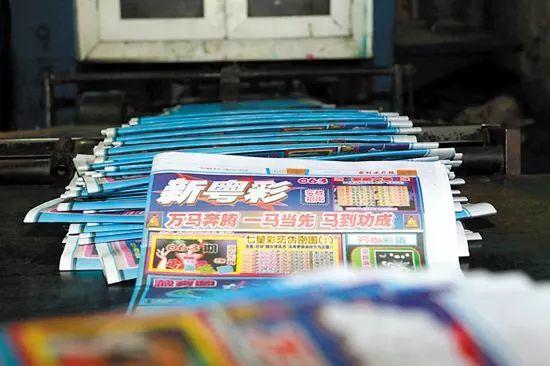 新粵門六舍彩資料正版，新粵門六舍彩正版資料解析