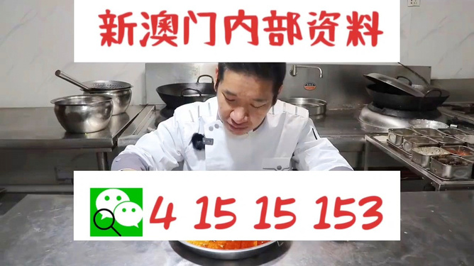澳門管家婆資料一碼一特全解析，澳門管家婆資料一碼全解析揭秘