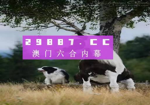 探索未來之門，2025今晚澳門跑狗圖揭秘，探索未來之門，揭秘澳門跑狗圖預(yù)測(cè)未來趨勢(shì)