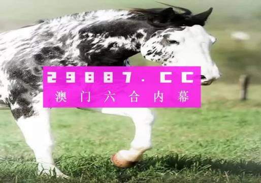 三肖一碼，三肖一碼揭秘