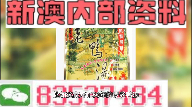 新澳正版資料與內(nèi)部資料的深度解析，新澳正版資料與內(nèi)部資料的深度剖析