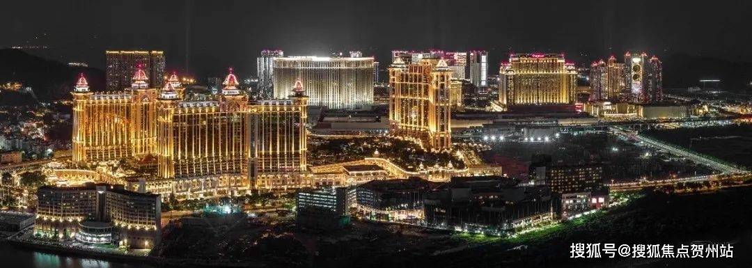 澳門一肖一碼期期準(zhǔn)資料官方APP，揭秘彩票背后的秘密，澳門一肖一碼期期準(zhǔn)資料揭秘彩票真相的官方APP