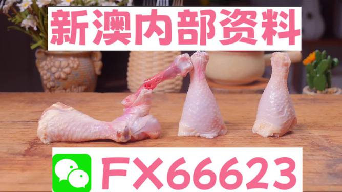 精準一碼免費公開澳門，揭開神秘面紗，共探未來機遇，澳門精準一碼免費公開，揭開神秘面紗，共創(chuàng)未來機遇