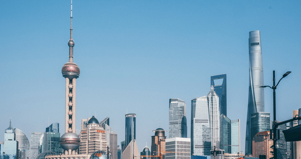 王中王一肖，2020的獨特魅力與非凡成就，王中王一肖，2020年非凡魅力與卓越成就回顧