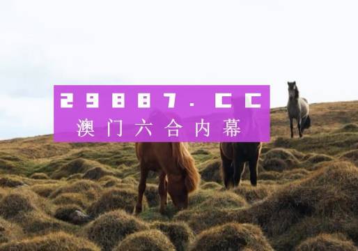 新澳門開獎結(jié)果開獎記錄表查詢網(wǎng)站下載指南，澳門開獎結(jié)果記錄表下載指南，查詢與網(wǎng)站使用指南