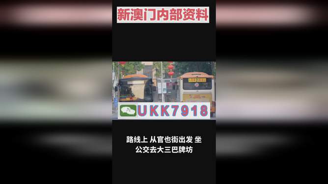 揭秘，2025年澳門特馬今晚號碼一，澳門特馬號碼揭秘，預(yù)測今晚2025年特馬號碼一揭曉
