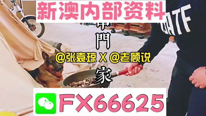 探索新澳門，精準(zhǔn)資料大全與管家婆料的獨(dú)特魅力，探索新澳門，揭秘精準(zhǔn)資料大全與管家婆料的獨(dú)特魅力